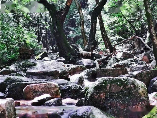 骑马与砍杀
