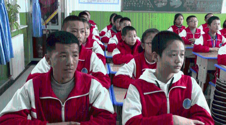 救援可爱的狮子